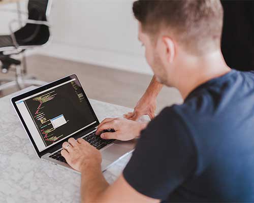 Professional web design services by Phoenix Domain